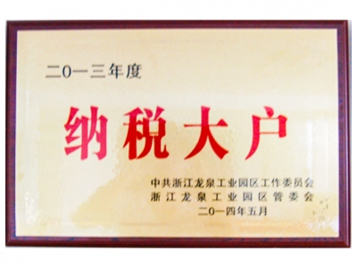 2013年度納稅大戶